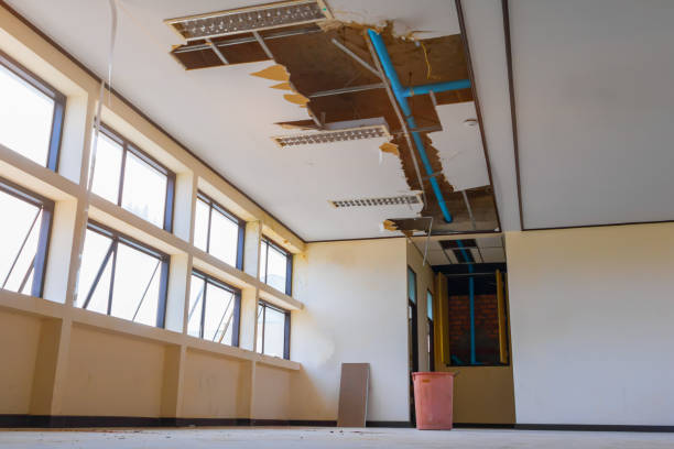  Mcmechen, WV Water damage restoration Pros