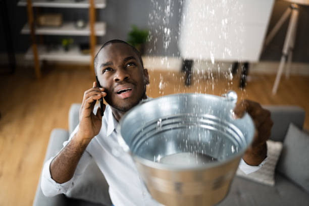Best Flood damage cleanup  in Mcmechen, WV
