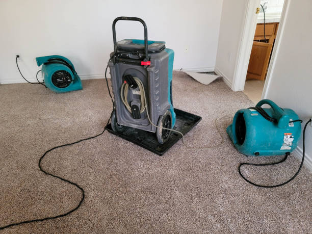  Mcmechen, WV Water damage restoration Pros