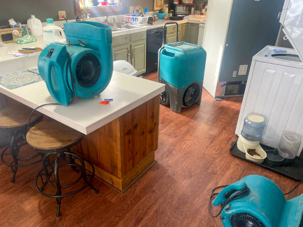 Best 24/7 water damage repair  in Mcmechen, WV