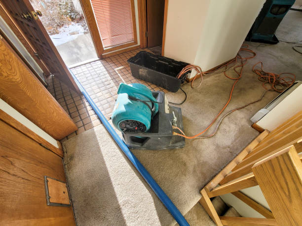 Reliable Mcmechen, WV Water damage restoration Solutions