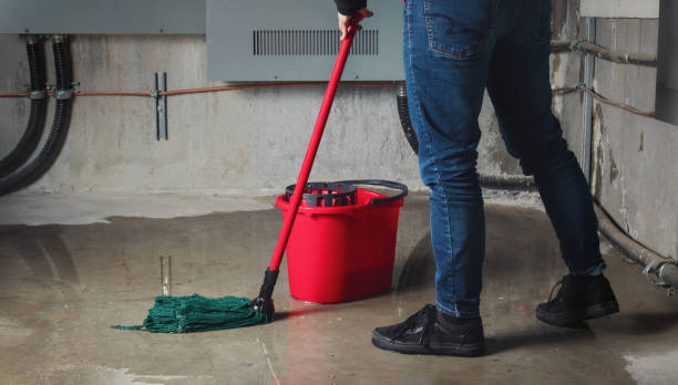 Best Carpet water damage restoration  in Mcmechen, WV