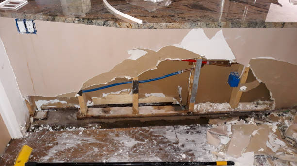 Best Mold removal after water damage  in Mcmechen, WV