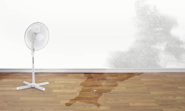 Water damage restoration insurance claims in Mcmechen, WV