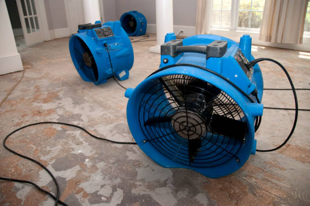 24/7 water damage repair in Mcmechen, WV