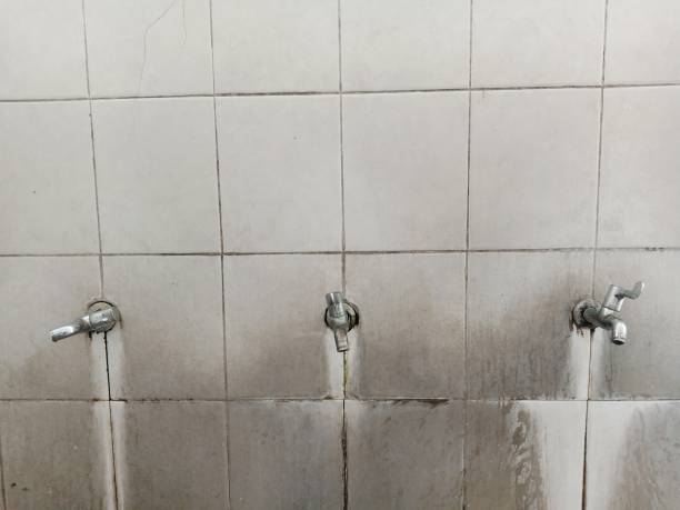 Best Professional water damage repair  in Mcmechen, WV